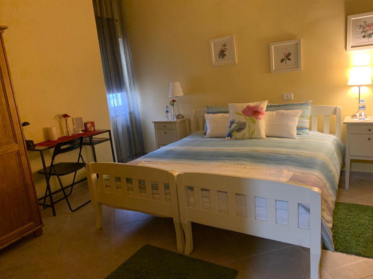 Stephen Center B&B Tirana Exteriér fotografie